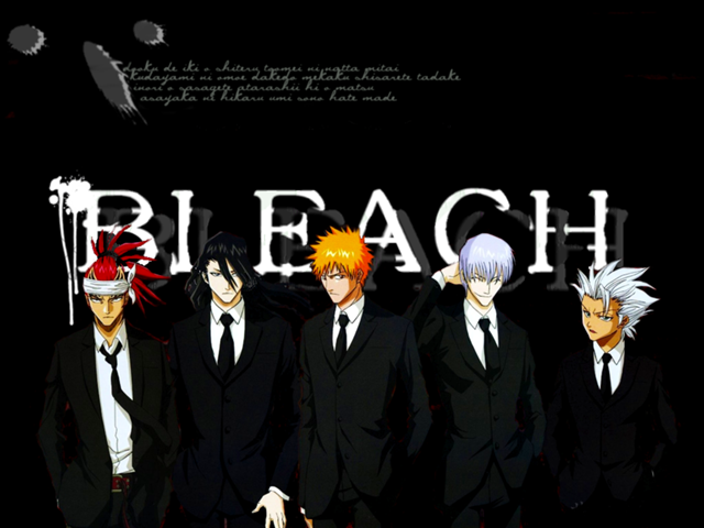 http://natz0x.free.fr/upload/Serie/bleach.png